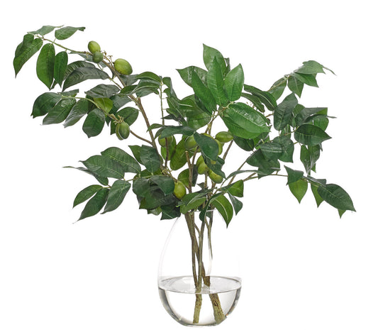 Olive Branch In Teardrop Vase