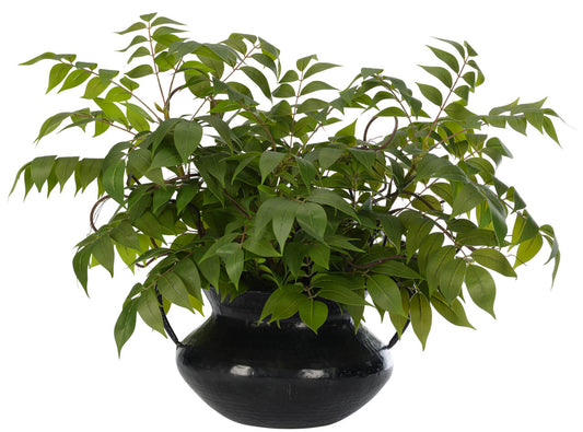 Wisteria Leaf - Iron Pot